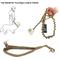 Show in main carousel: OneTigris Training Nylon Bungee Dog Leash, Tan, 3.875-ft long, 1-in wide slide 8 of 12