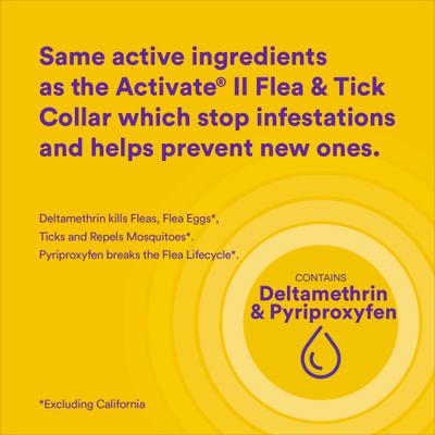 Show full view: Onguard Plus Flea & Tick Collar for Dogs, 2 collars (12-mos. supply) slide 3 of 8