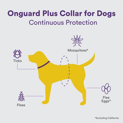 Show full view: Onguard Plus Flea & Tick Collar for Dogs, 2 collars (12-mos. supply) slide 4 of 8