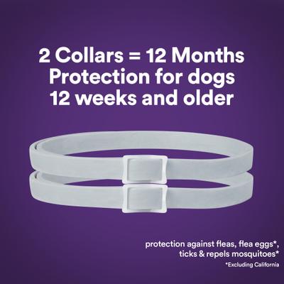 Show full view: Onguard Plus Flea & Tick Collar for Dogs, 2 collars (12-mos. supply) slide 5 of 8