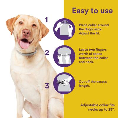 Show full view: Onguard Plus Flea & Tick Collar for Dogs, 2 collars (12-mos. supply) slide 7 of 8