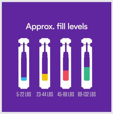 Show full view: Onguard Plus Flea & Tick Spot Treatment for Dogs, 23-44 lbs, 3 Doses (3-mos. supply) slide 8 of 11