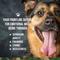 Show in main carousel: Operation Good Boy Beef Flavored Calming Supplement for Dogs, 90 count slide 6 of 9