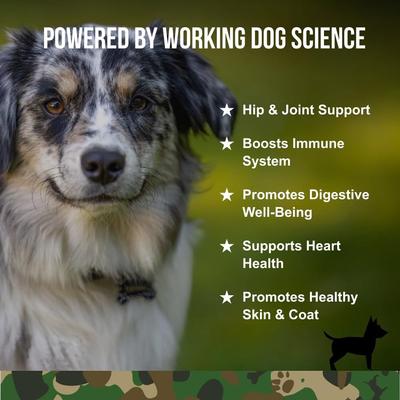 Show full view: Operation Good Boy Beef Flavored Multi-Functional Supplement for Dogs, 90 count slide 3 of 11