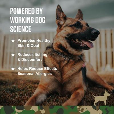 Show full view: Operation Good Boy Peanut Butter Flavored Skin Health & Allergy Supplement for Dogs, 90 count slide 3 of 10