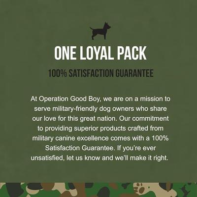 Show full view: Operation Good Boy Peanut Butter Flavored Skin Health & Allergy Supplement for Dogs, 90 count slide 7 of 10