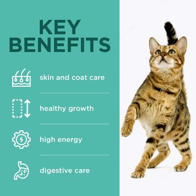 Show full view: Optimeal Grain-Free Chicken & Veggies Recipe Dry Cat Food, 3.3-lb bag slide 6 of 10