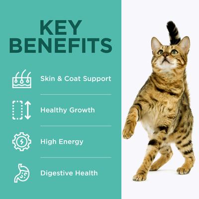 Show full view: Optimeal Nutrient Balance Turkey & Barley Recipe Adult Dry Cat Food, 3.3-lb bag slide 6 of 9