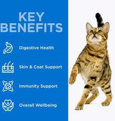 Optimeal Skin & Digestive Support Salmon & Brown Rice Recipe Dry Cat Food, 3.3-lb bag slide 2 of 8