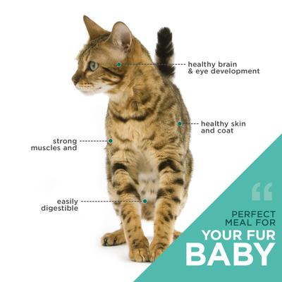 Show full view: Optimeal Skin & Digestive Support Salmon & Brown Rice Recipe Dry Cat Food, 3.3-lb bag slide 7 of 10