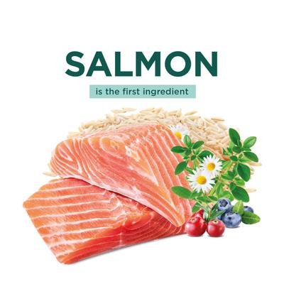 Show full view: Optimeal Skin & Digestive Support Salmon & Brown Rice Recipe Dry Cat Food, 3.3-lb bag slide 5 of 10