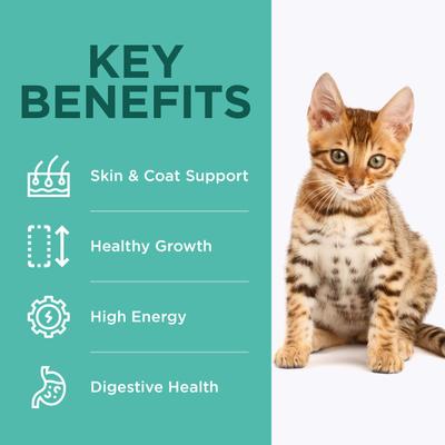 Show full view: Optimeal Vital Nurture Kitten Chicken & Rice Recipe Dry Cat Food, 3.3-lb bag slide 6 of 10