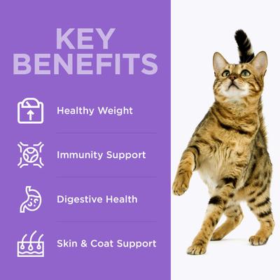 Show full view: Optimeal Weight Management Turkey & Oatmeal Recipe Dry Cat Food, 3.3-lb bag slide 6 of 10