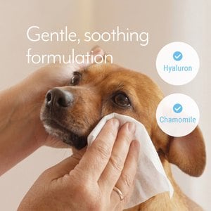 Optixcare Dog & Cat Eye Cleaning Wipes, 50 count
