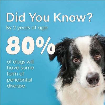 Show full view: Ora-Clens Advanced Enzymatic Peanut Butter Flavor Dog Toothpaste, 5-fl oz tube slide 6 of 10