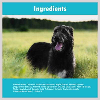 Show full view: Ora-Clens Apple & Fresh Mint Dog Dental Foam, 5-oz bottle slide 4 of 10