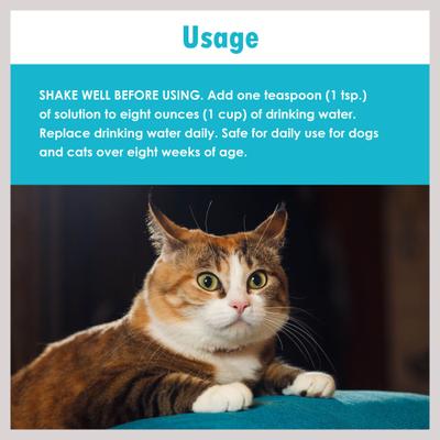 Show full view: Ora-Clens Dog & Cat Dental Water Additive, 16-fl oz bottle slide 6 of 11