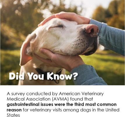 Show full view: Ora-Clens FloraCare G.I. Dog & Cat Supplement, 60-cc slide 10 of 10