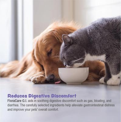 Show full view: Ora-Clens FloraCare G.I. Dog & Cat Supplement, 60-cc slide 5 of 10