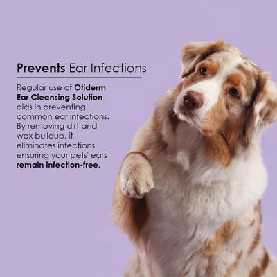 Show full view: Ora-Clens Otiderm Dog & Cat Ear Cleaner, 8-fl oz bottle slide 6 of 11
