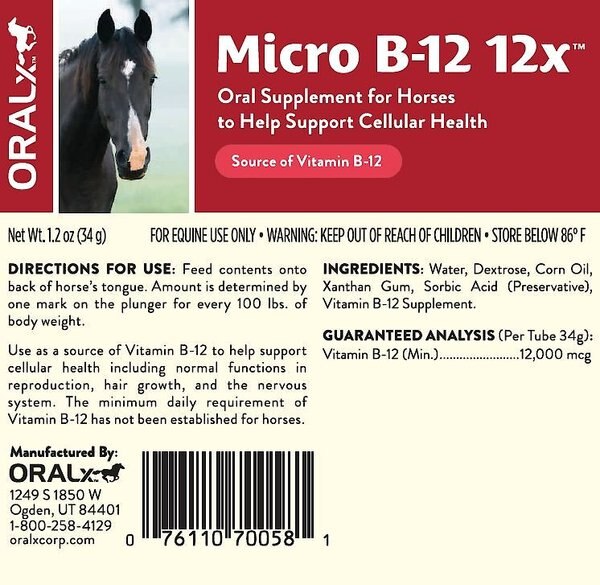 Oralx Micro B-12 12x Nervous System Support Gel Horse Supplement, 1.2-fl oz syringe