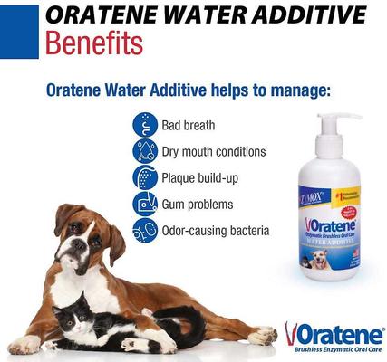 Show full view: Oratene Enzymatic Brushless Oral Care Dog & Cat Dental Water Additive, 8-fl oz bottle slide 5 of 11