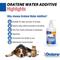 Show in main carousel: Oratene Enzymatic Brushless Oral Care Dog & Cat Dental Water Additive, 8-fl oz bottle slide 6 of 11