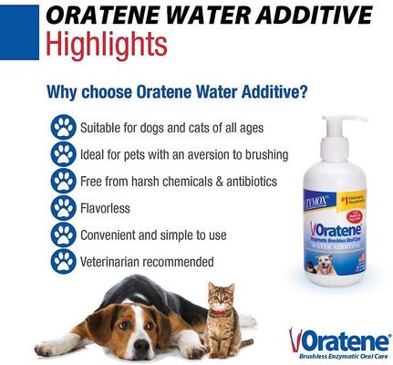 Show full view: Oratene Enzymatic Brushless Oral Care Dog & Cat Dental Water Additive, 8-fl oz bottle slide 6 of 11