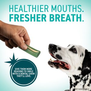 OraVet Hygiene Dental Chews for Large & Giant Dogs, over 50-lbs, 30 count