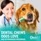 Show in main carousel: OraVet Hygiene Dental Chews for Small Dogs, 10-24 lbs., 14 count slide 3 of 10