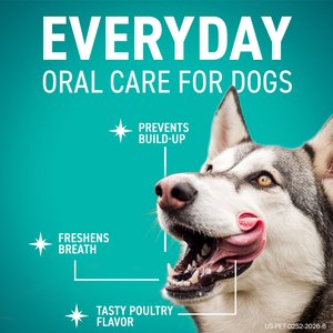 OraVet Hygiene Dental Chews for Small Dogs, 10-24 lbs., 30 count