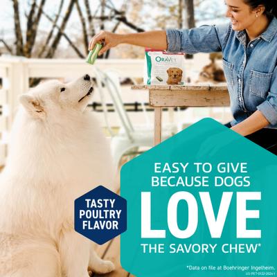 Show full view: OraVet Hygiene Dental Chews for X-Small Dogs, Up to 10-lbs., 30 count slide 8 of 11