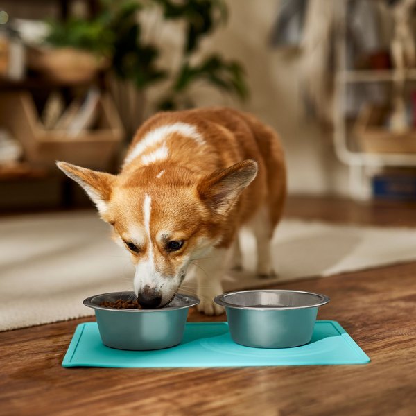 Speckle & Spot by Ore' Originals Pet Shadow Dog Placemat, Retro Aqua