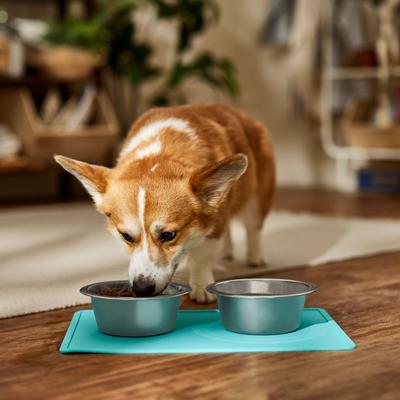 Show full view: Speckle & Spot by Ore' Originals Pet Silicone Dog & Cat Placemat, Aqua slide 2 of 7