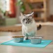 Speckle & Spot by Ore' Originals Pet Kitty Cat Cafe Placemat, Brown