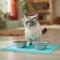 Show in main carousel: Speckle & Spot by Ore' Originals Pet Silicone Dog & Cat Placemat, Aqua slide 3 of 7