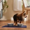 Show in main carousel: Speckle & Spot by Ore' Originals Pet Silicone Dog & Cat Placemat, Indigo slide 2 of 7