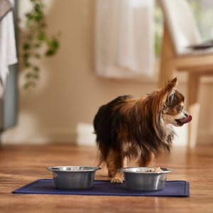Speckle & Spot by Ore' Originals Pet Silicone Dog & Cat Placemat, Indigo