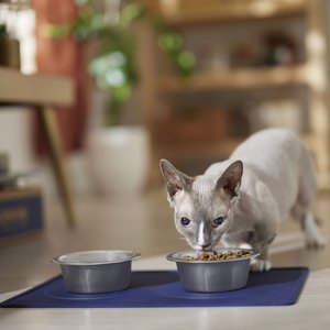 Speckle & Spot by Ore' Originals Pet Silicone Dog & Cat Placemat, Indigo