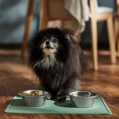 Show full view: Speckle & Spot by Ore' Originals Pet Silicone Dog & Cat Placemat, Jade slide 3 of 8