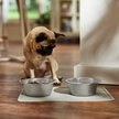 Show in main carousel: Speckle & Spot by Ore' Originals Pet Silicone Dog & Cat Placemat, Light Grey slide 2 of 7