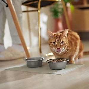 Speckle & Spot by Ore' Originals Pet Silicone Dog & Cat Placemat, Light Grey