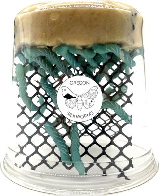 Show full view: Oregon Silkworms Small Live Hornworms, 25 count slide 3 of 10