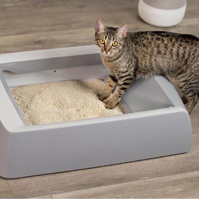 Show full view: O.R.I./GRAYSTONE NATURAL Granular Tofu Cat Litter for Automatic Self-Cleaning Litter Box Robots, 4.5-lb refill bag slide 5 of 7