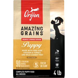 ORIJEN Amazing Grains High-Protein Puppy Dry Dog Food, 4-lb bag