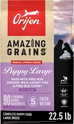 ORIJEN Amazing Grains High-Protein Puppy Large Breed Dry Dog Food, 22.5-lb bag