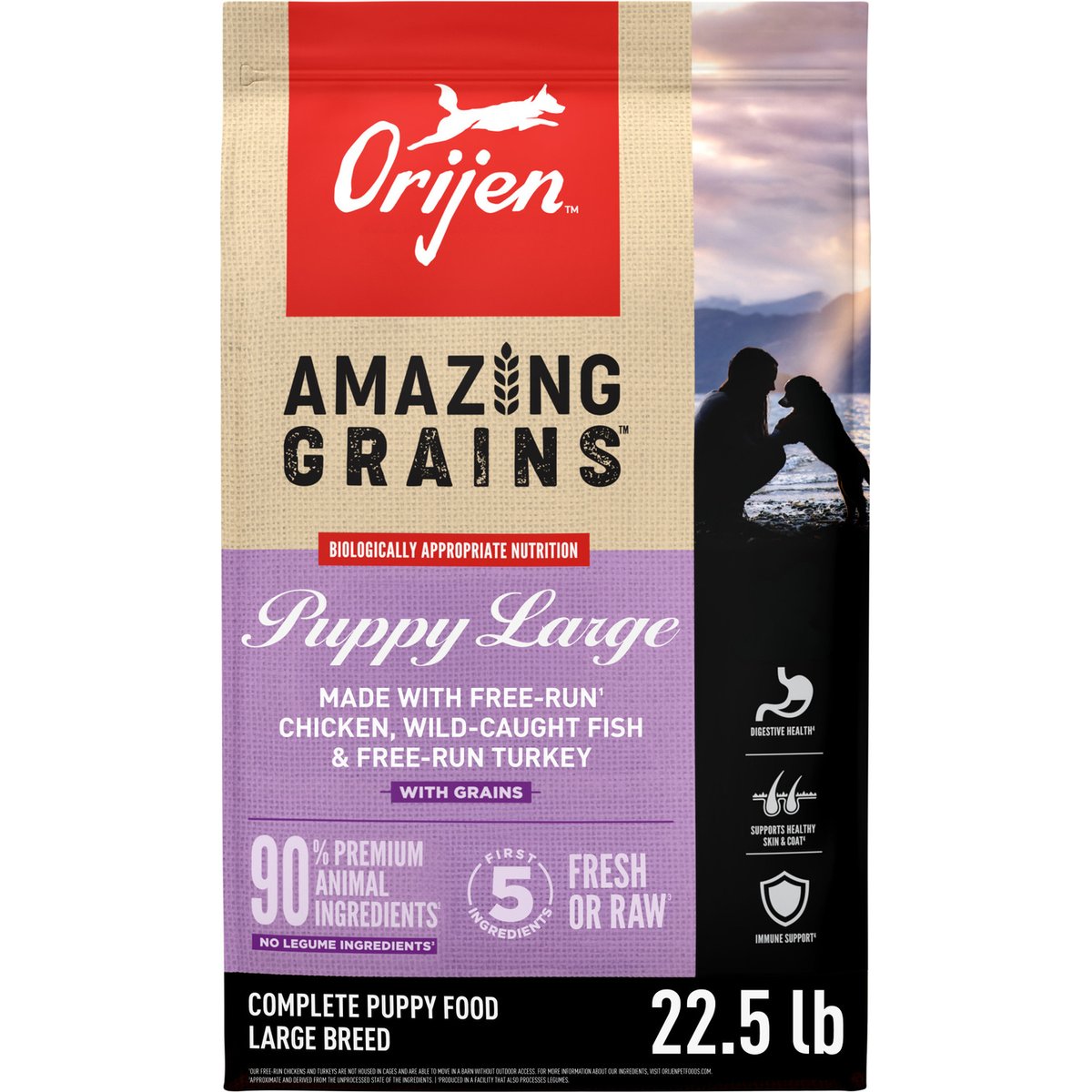 ORIJEN Amazing Grains High-Protein Puppy Large Breed Dry Dog Food, 22.5-lb bag