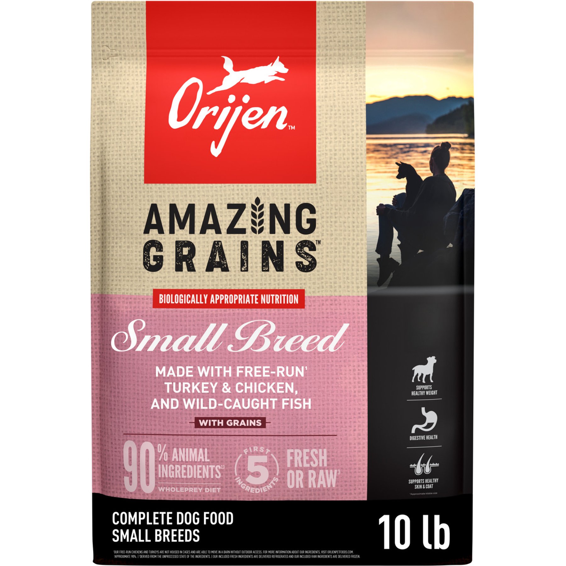 ORIJEN Amazing Grains High-Protein Small Breed Dry Dog Food, 10-lb bag
