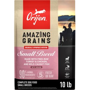 ORIJEN Amazing Grains High-Protein Small Breed Dry Dog Food, 10-lb bag