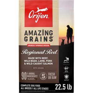 ORIJEN Amazing Grains Regional Red High-Protein Dry Dog Food, 22.5-lb bag